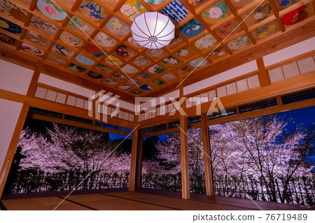 京都精進院周邊的櫻花燈飾 76719489