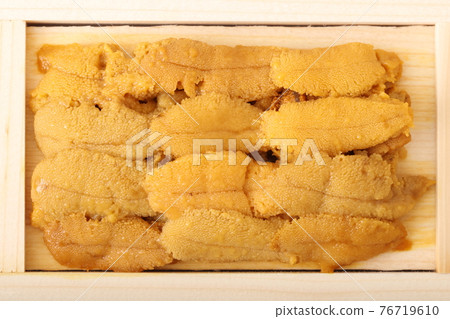 Sea urchin Sea urchin 76719610