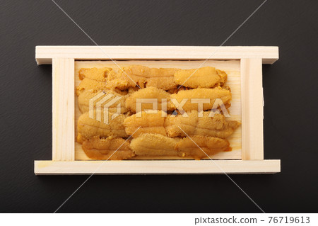 Sea urchin Sea urchin 76719613