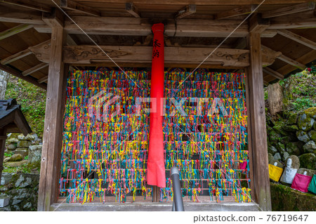 京都精進院周邊的櫻花燈飾 76719647