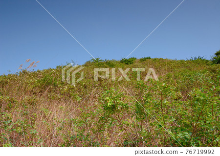 2 Dec 2006 Country Trail , landscape of the High Junk Peak, hk 76719992