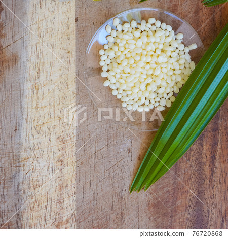Organic Candelilla Wax in Chemical Watch Glass and broadleaf lady palm leaf on wooden background. (Top View) Organic Candelilla Wax in Chemical Watch Glass and broadleaf lady palm leaf on wooden background. (Top View) 76720868