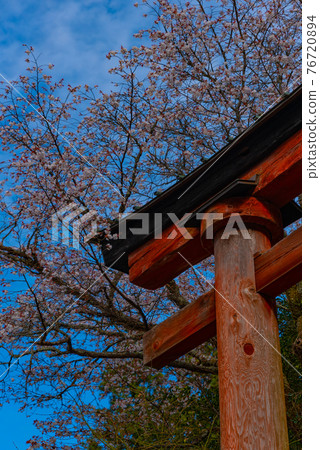 Torii 76720894