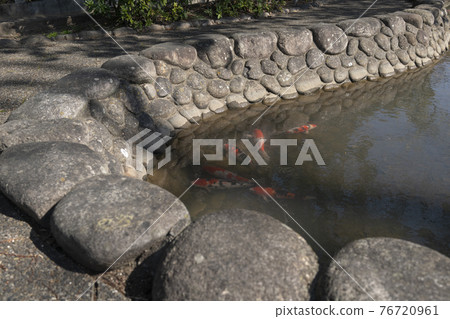 苔蘚和池塘 76720961