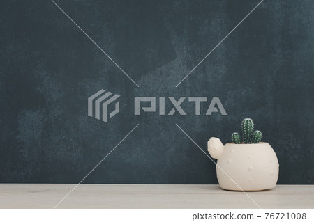 cactus pot decoration on wooden shelf with copy space cactus pot decoration on wooden shelf with copy space 76721008