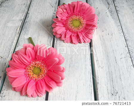 pink gerbera daisy flowers on wooden background pink gerbera daisy flowers on wooden background 76721413