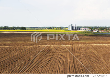 Field of rapeseed flowers, plant for cleaning and storage of agricultural products, flour, cereals and grains. 76724086
