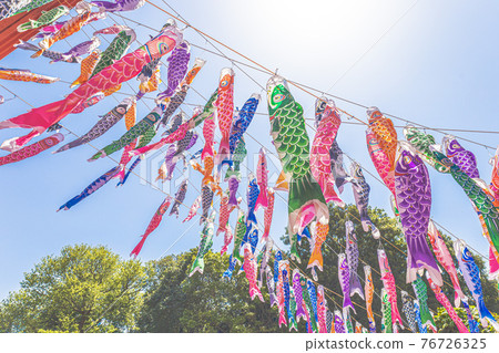 Carp streamer Children's Day Carp streamer Children's Day 76726325