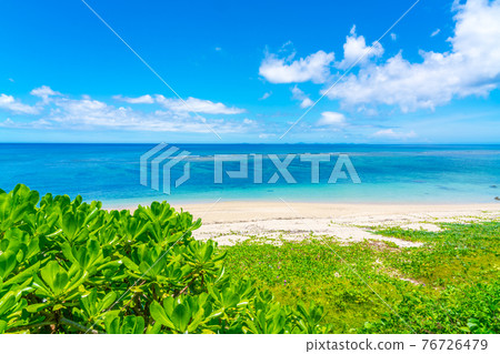 The sea of Okinawa The sea of Okinawa 76726479
