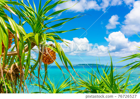 Adan and the sea of Okinawa Adan and the sea of Okinawa 76726527