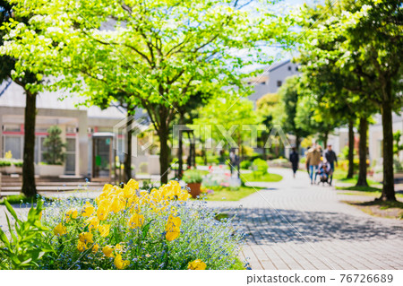 A quiet residential area, a living road where spring flowers bloom 76726689