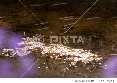 Waterside petals 76727054