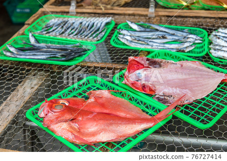 【金魚乾】 76727414