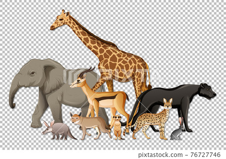Group of wild african animals on transparent background 76727746
