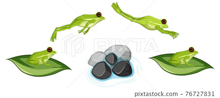 Movement of frog jumping on white background Movement of frog jumping on white background 76727831