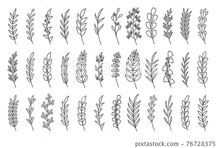 Curved black linear laurel branches set vector Curved black linear laurel branches set vector 76728375