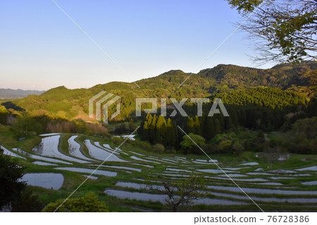 Oyama Senmaida at dusk, Kamogawa City, Chiba Prefecture 76728386