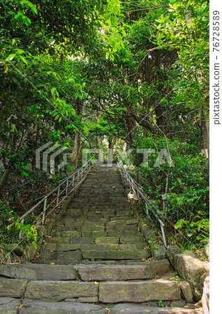 尾島 尾島 76728589