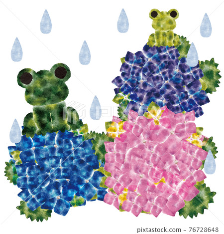 繡球花，青蛙，雨 76728648