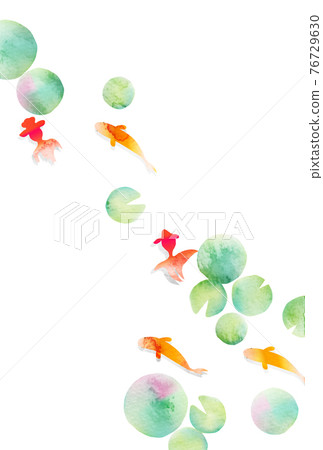 金魚水生植物夏天問候背景 76729630