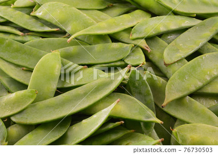 Freshly rinsed raw green snow peas healthy vegetable background closeup Freshly rinsed raw green snow peas healthy vegetable background closeup 76730503