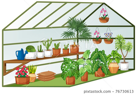 Open view of Greenhouse with many plants inside Open view of Greenhouse with many plants inside 76730613