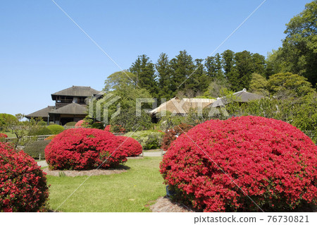 Kirishima Azalea Flowers and Kobuntei in Kairakuen, Mito City 76730821