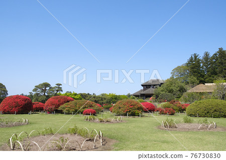 Kirishima Azalea Flowers and Kobuntei in Kairakuen, Mito City 76730830