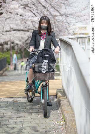 A high school girl who goes to school in the cherry blossoms in full bloom 76731964