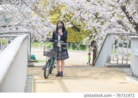 A high school girl who goes to school in the cherry blossoms in full bloom A high school girl who goes to school in the cherry blossoms in full bloom 76731972