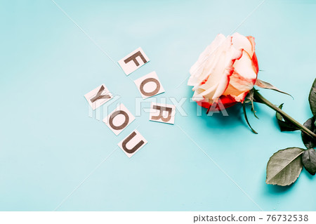 Rose on blue background for you Rose on blue background for you 76732538