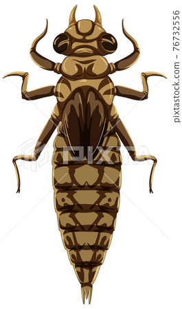 A dragonfly (Larva Stage) on white background 76732556