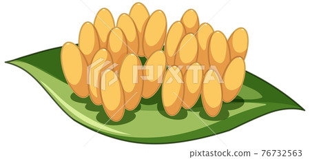 Many eggs of ladybug on a leaf on white background Many eggs of ladybug on a leaf on white background 76732563