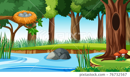 Nature outdoor forest background Nature outdoor forest background 76732567