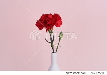 Red Carnations for Parents' Day 76732591