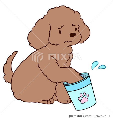 不喜歡洗腳的貴賓犬 76732595