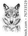 Hand drawn wolf, sketch graphics monochrome illustration 76733529