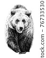 Hand drawn bear, sketch graphics monochrome illustration on white background (originals, no tracing) 76733530