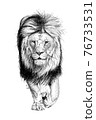 Hand drawn lion, sketch graphics monochrome illustration 76733531