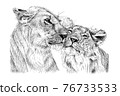 Hand drawn two love lion, sketch graphics monochrome illustration 76733533