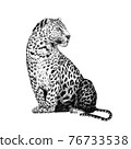 Hand drawn leopard, sketch graphics monochrome illustration on white background 76733538