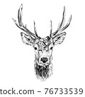 Hand drawn deer, sketch graphics monochrome illustration 76733539