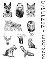 Set of ten animals, hand drawn illustrations 76733540