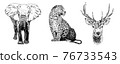 Hand drawn leopard, sketch graphics monochrome illustration on white background 76733543