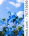 Co-starring Nemophila and Sora Ao 76733690