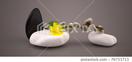 Spa still life in a panorama design template 76733713