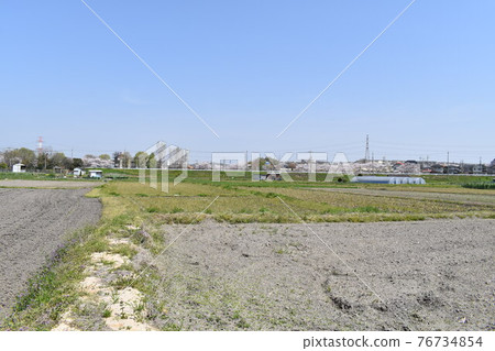 Spring rice fields Spring rice fields 76734854