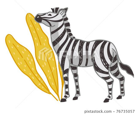 Zebra animal eating fresh grass or leaves of bush Zebra animal eating fresh grass or leaves of bush 76735057
