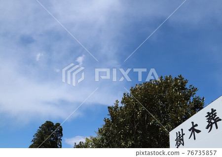 Tree burial Tree burial 76735857