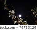 Mei and moon 76736126